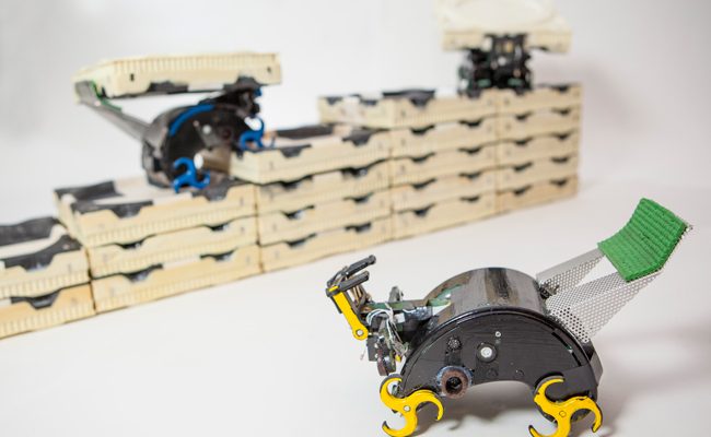 Casas Programadas - Robôs inspirados em cupins